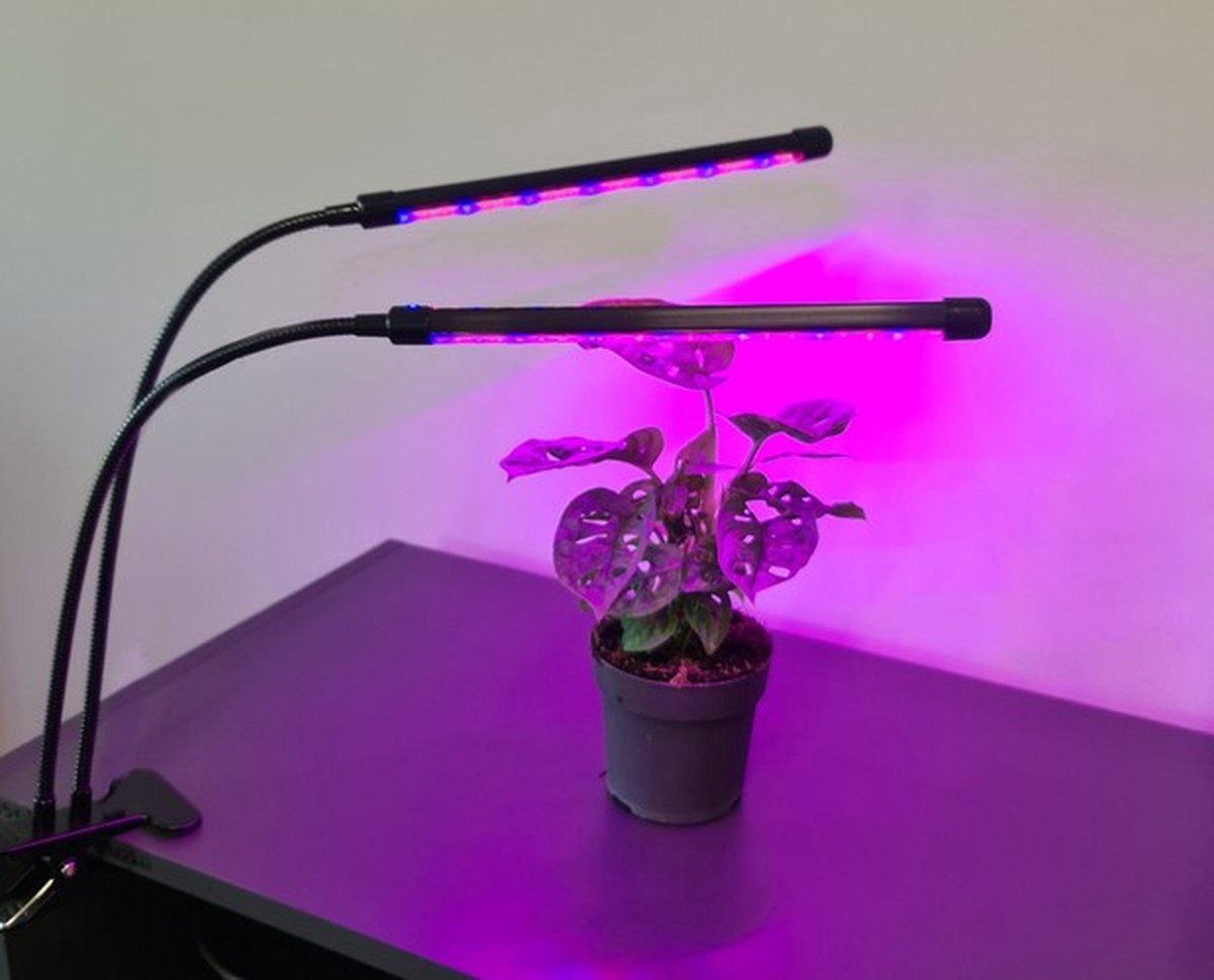 LED grow light - 2-way - Red/blue/purple - With controller and timer