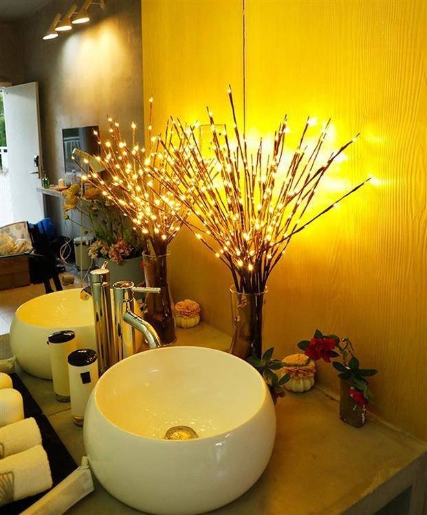 Christmas willow branch set - 20 LEDs - Warm white