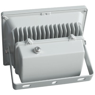 Projecteur LED 50 W blanc froid - gris