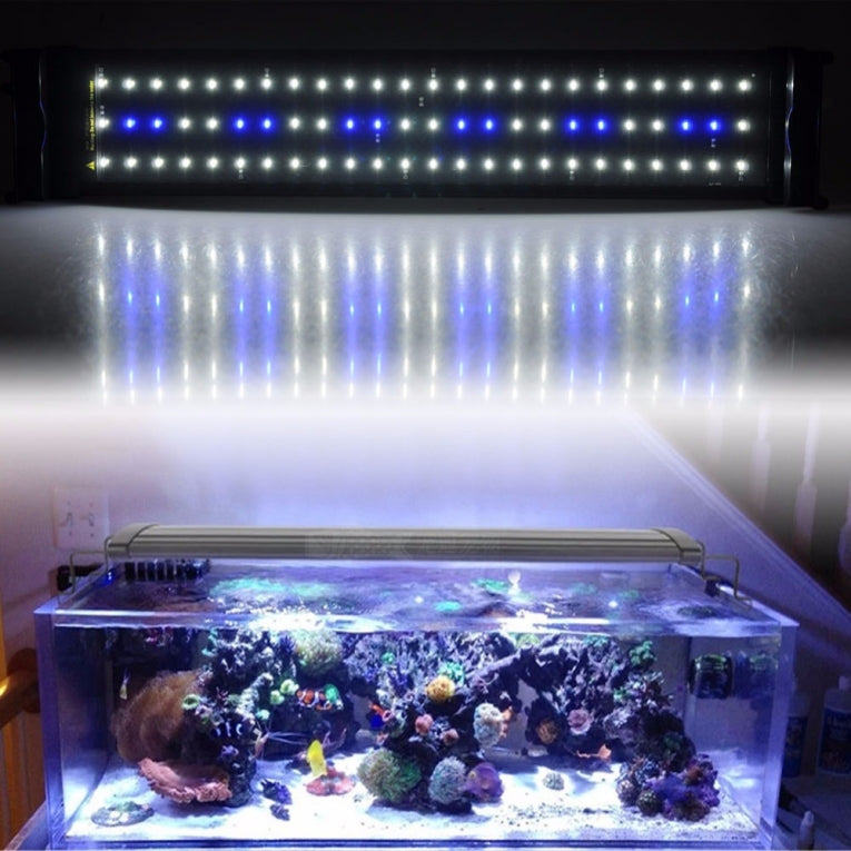 Éclairage LED pour aquarium 115 cm [120-140 cm] 32 W, 2 modes bleu/blanc