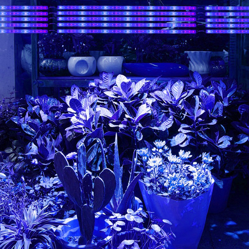 Grow light - White/blue - 12V - 2:1 - 50cm - Waterproof