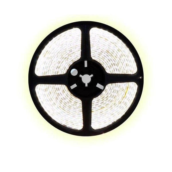 5 meter CCT LED strip DUAL LED - 60Leds/m - 12V