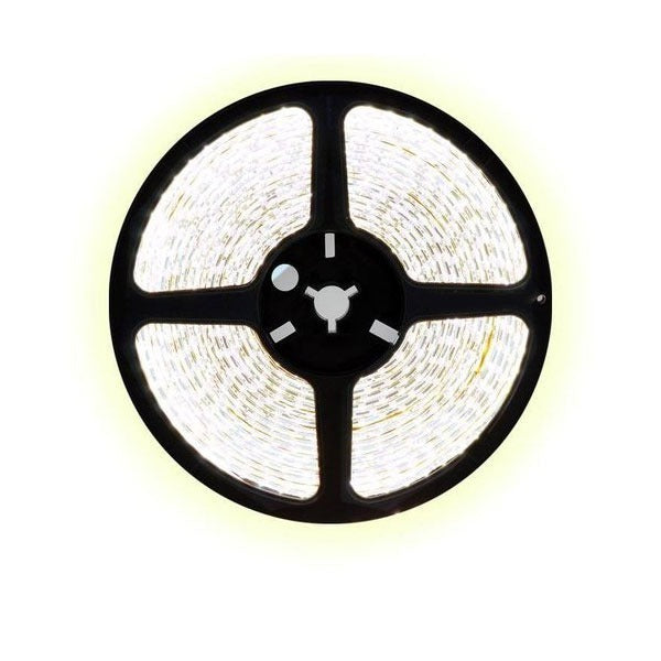 5 meter CCT LED strip DUAL LED - 120Leds/m - 12V