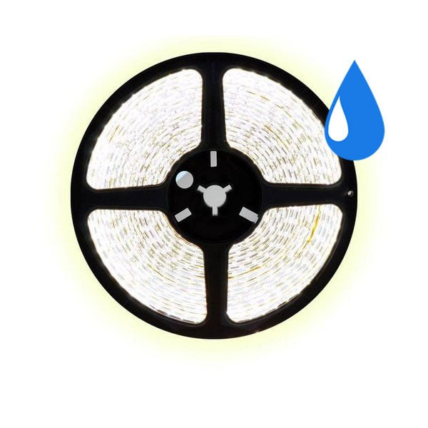 5 meter CCT LED strip DUAL LED - 60Leds/m - IP65 - 12V