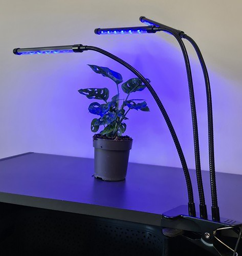 LED grow light - 3-way - Red/blue/purple - With controller and timer