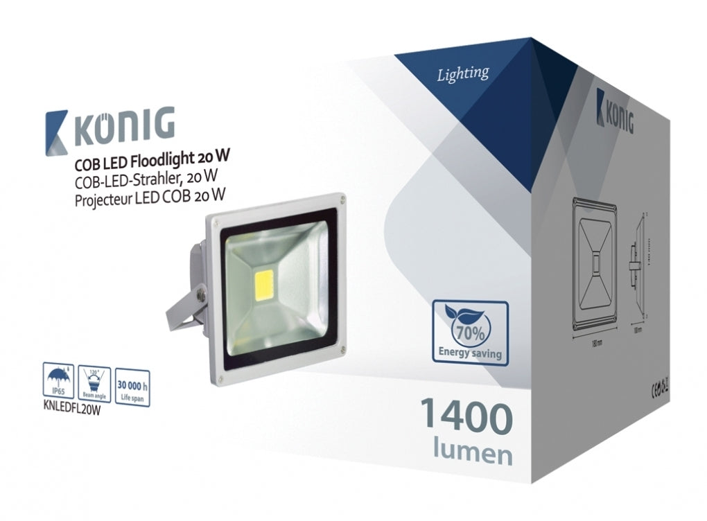 Projecteur LED 20 W blanc froid IP65
