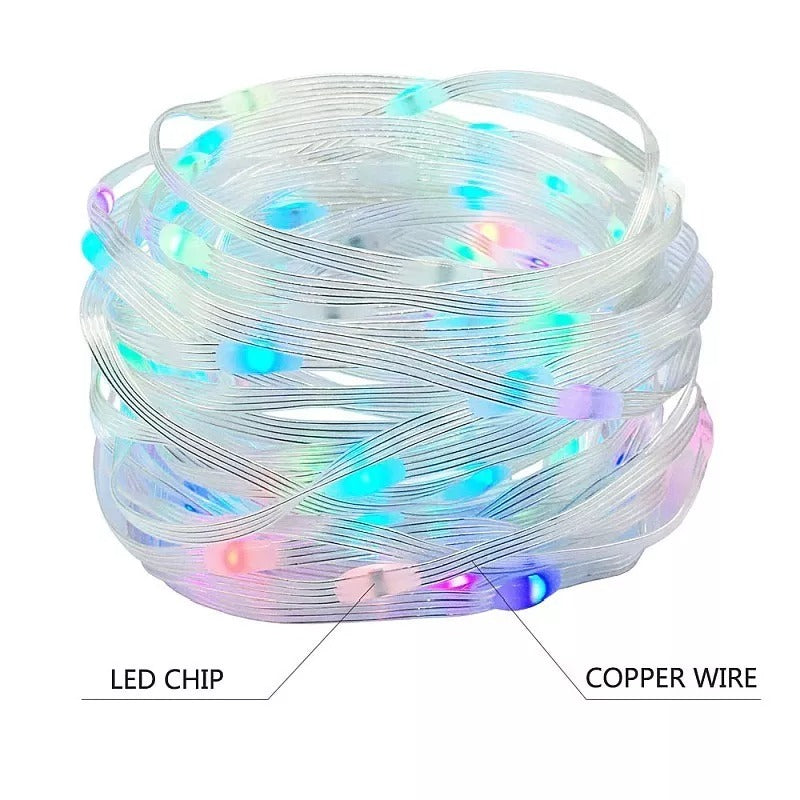 RGB light string 10 meters USB - programmable - 100 LEDs - Dreamcolor