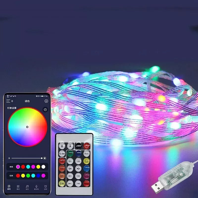 RGB light string 10 meters USB - programmable - 100 LEDs - Dreamcolor