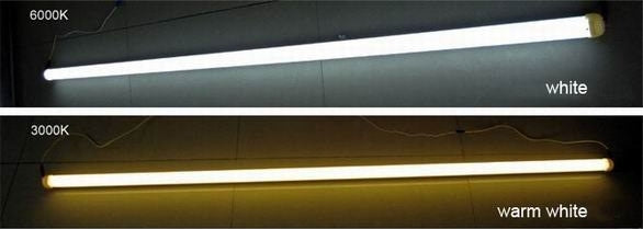 Tube LED TL 90 cm blanc froid