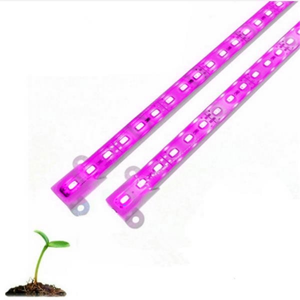 Grow light - Purple/Violet - 50cm - Waterproof