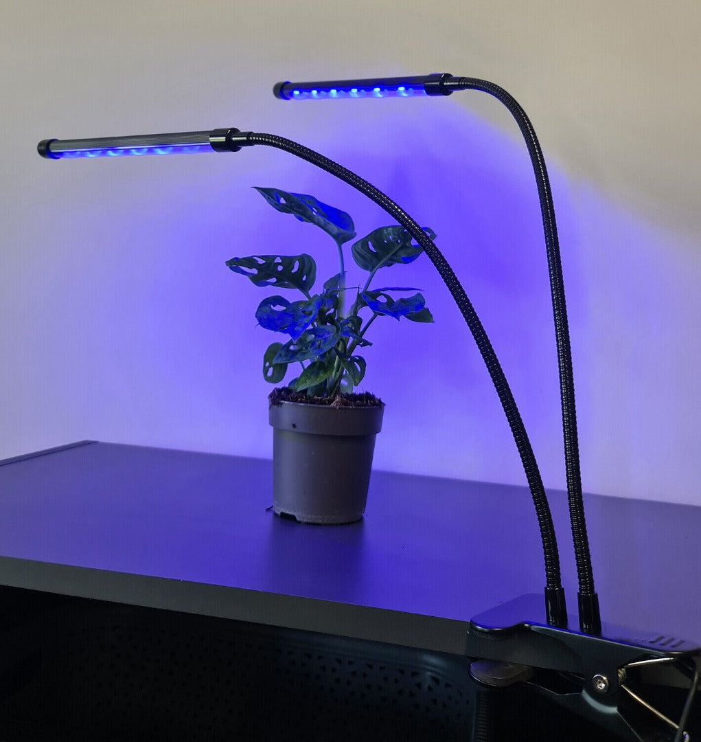 LED grow light - 2-way - Red/blue/purple - With controller and timer