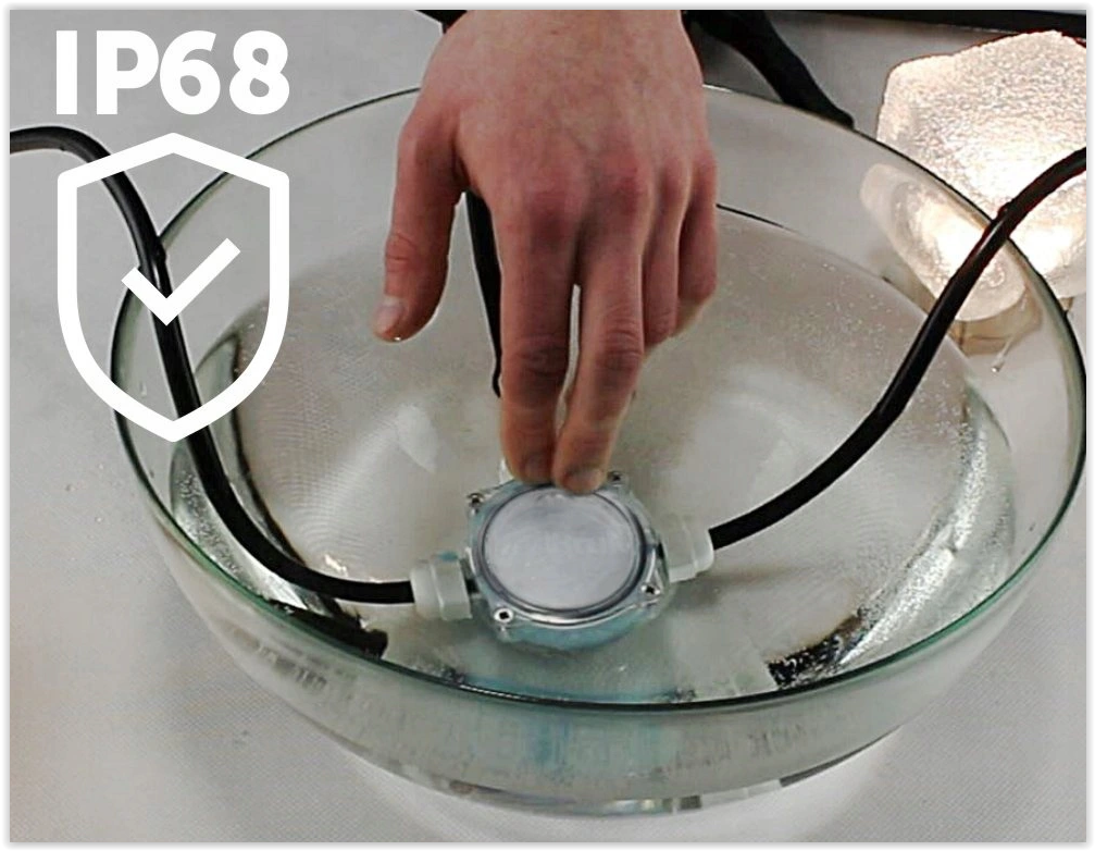 Waterproof junction box - 2-way - IP68 - Transparent