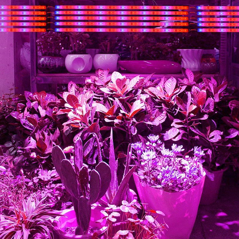vertraging pk Stam Grow light - Paars/Violet - 50cm - Waterproof - ABC-led.nl