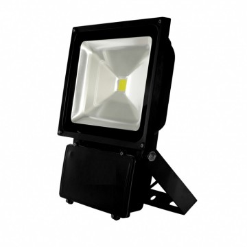 100W LED Schijnwerper Koud Wit 6500K
