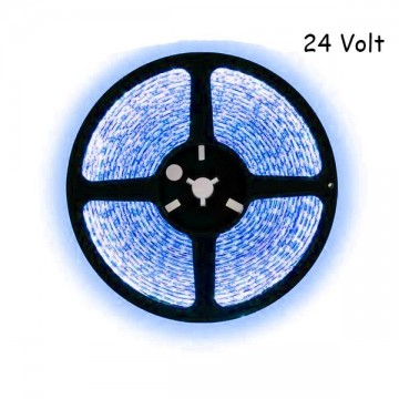5 meter blauw led strip - 120Leds/m - 24V