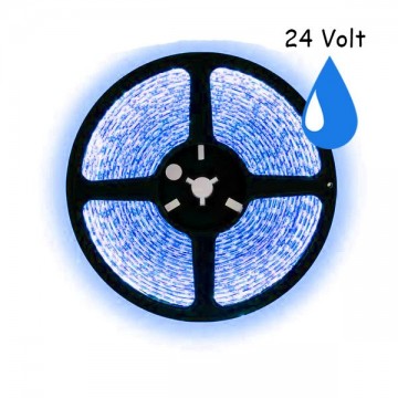 5 meter blauw led strip waterproof - IP65 - 60Leds/m - 24V