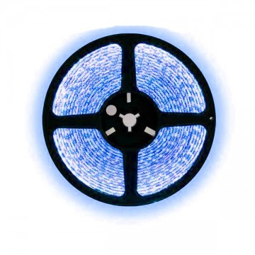 1 meter blauw led strip - 30Leds/m - 12V