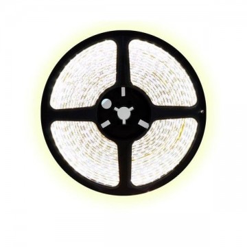 5 meter CCT (Dual white) led strip DUAL LED - 120Leds/m - 3528 - 24V