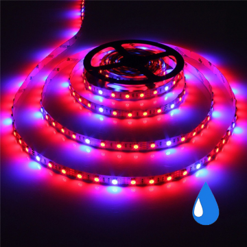 Grow light led strip - Rood/Blauw - IP65 - 5:1 - 5 meter
