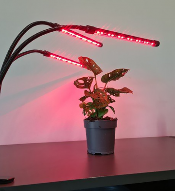LED grow light - 3 voudig - Rood/blauw/paars - Met controller en timer
