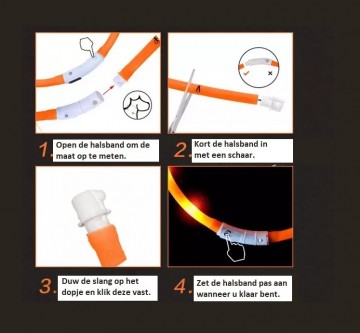 Halsband inkorten 3