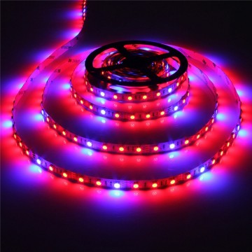 Grow light led strip - Rood/Blauw - 5:1 - 5 meter