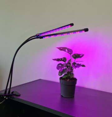 LED grow light - 2 voudig - Rood/blauw/paars - Met controller en timer