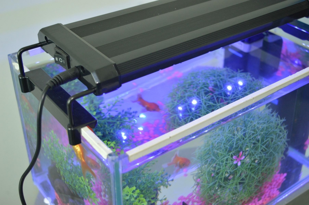 tempo terug volume Aquarium bak LED 55cm [60-80cm] 18W 2-standen blauw / wit - ABC-led.nl