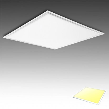 Identiteit geschiedenis In LED paneel - 30x30 - Warm wit - 3000K - Premium - ABC-led.nl